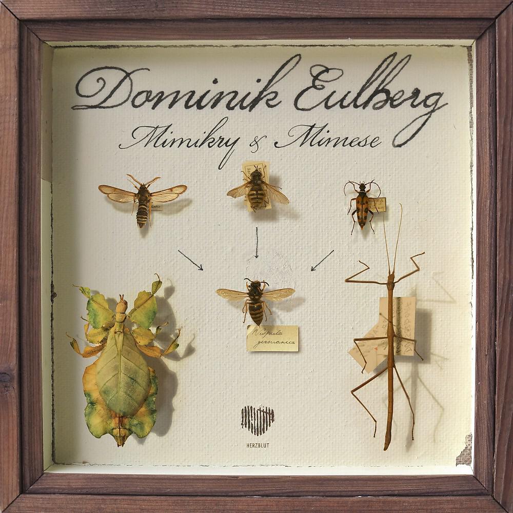 Dominik Eulberg - Mimikry (Original Mix)