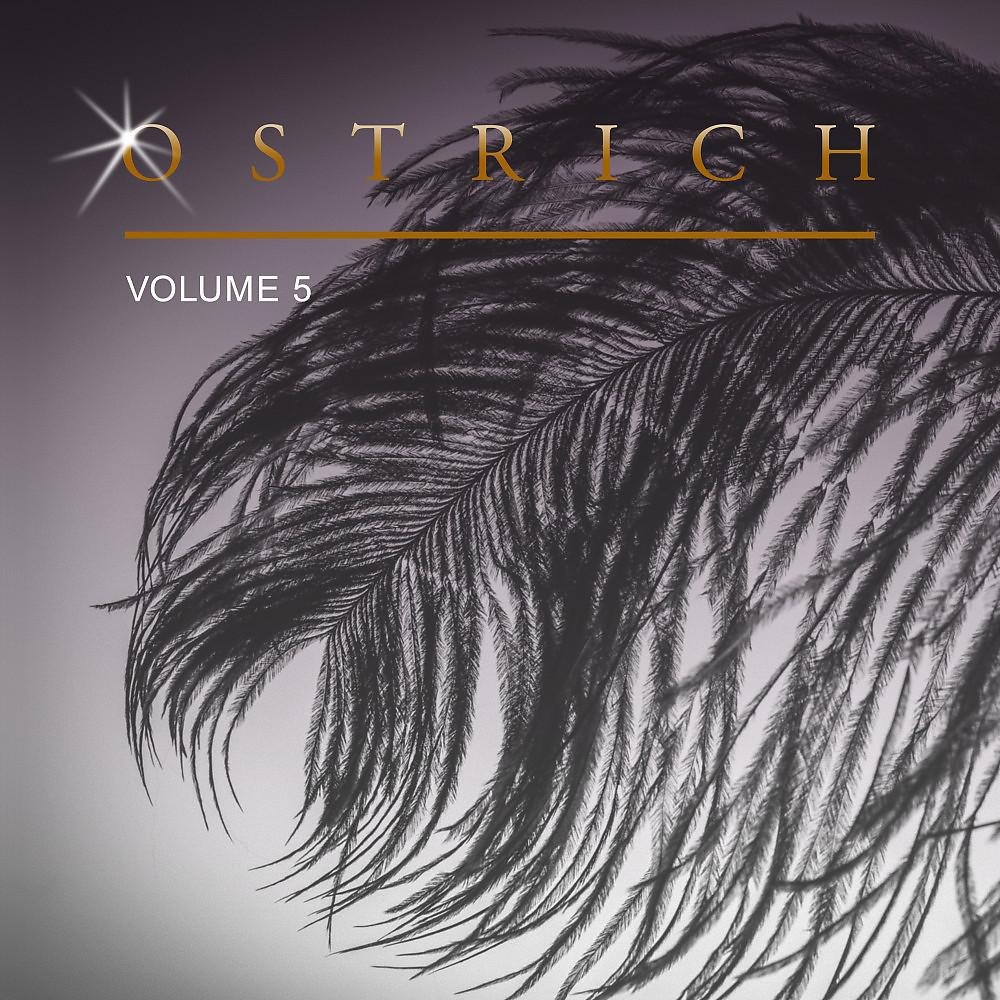 Постер альбома Ostrich, Vol. 5
