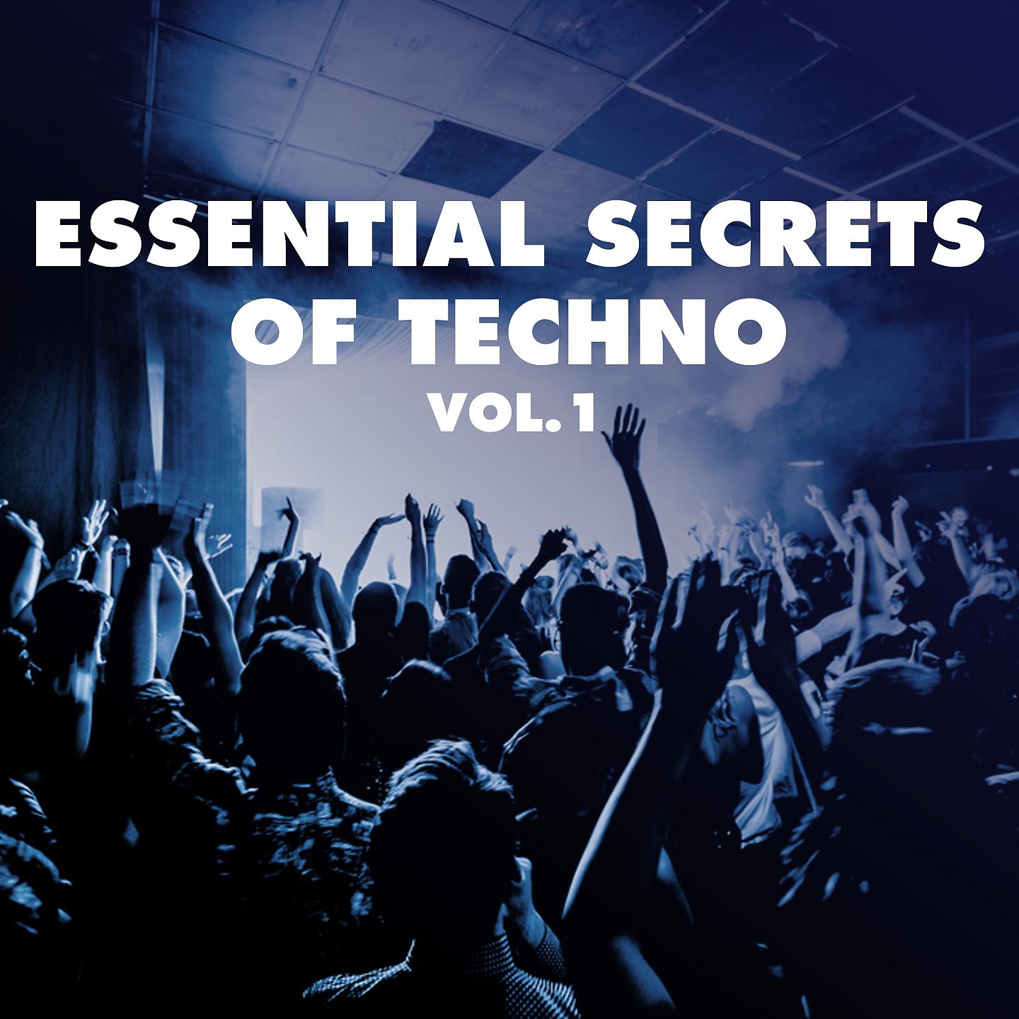 Постер альбома Essential Secrets of Techno, Vol. 1