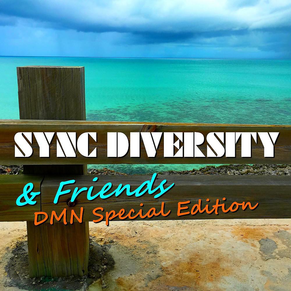 Постер альбома Sync Diversity & Friends (Dmn Special Edition)