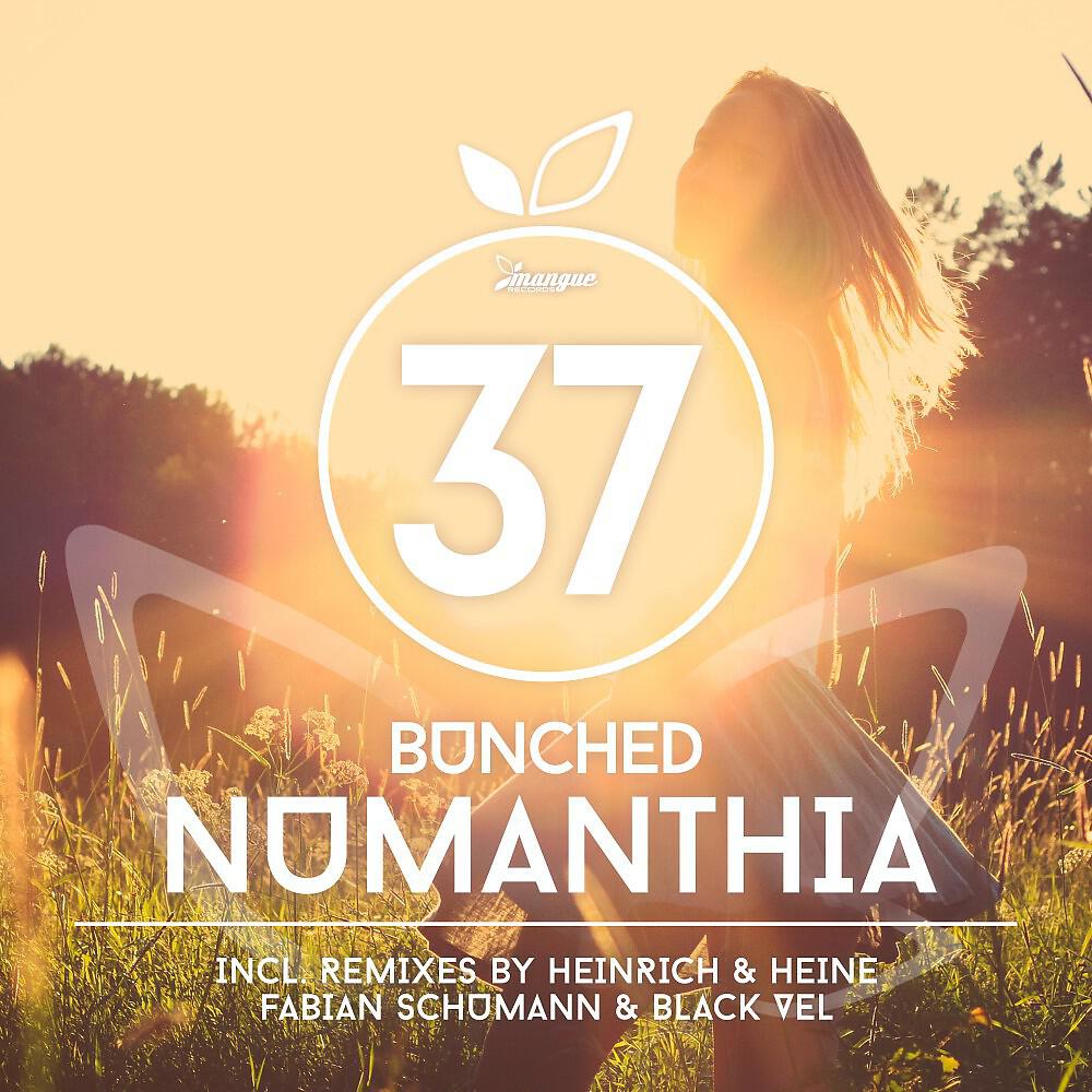 Bunched - Numanthia (Fabian Schumann & Black Vel Remix)