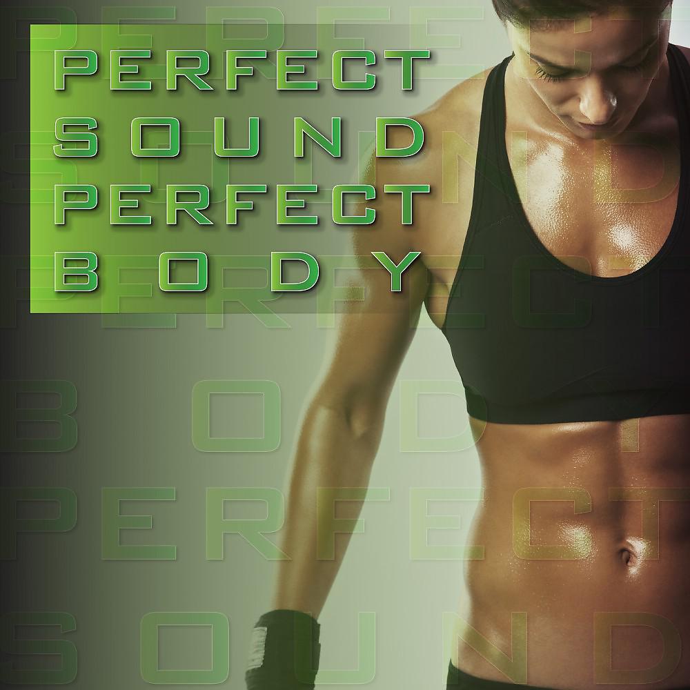 Постер альбома Perfect Sound Perfect Body