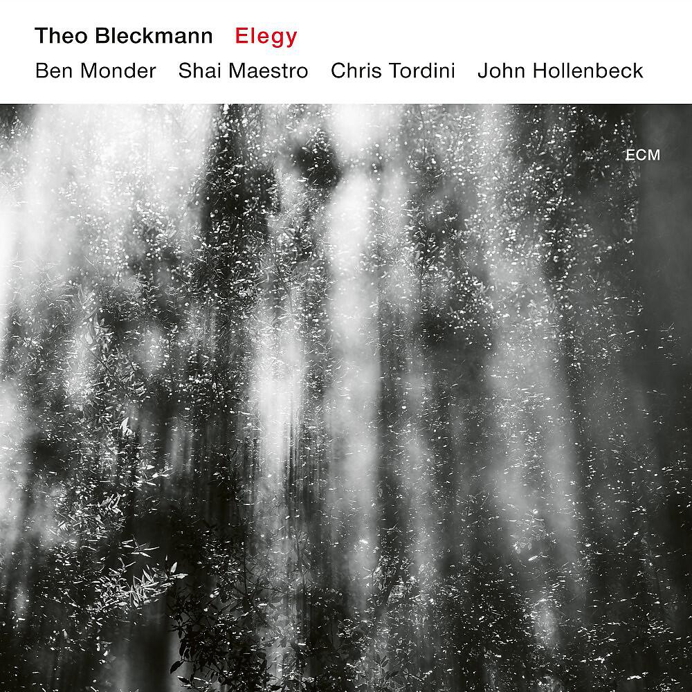 Theo Bleckmann - Semblance