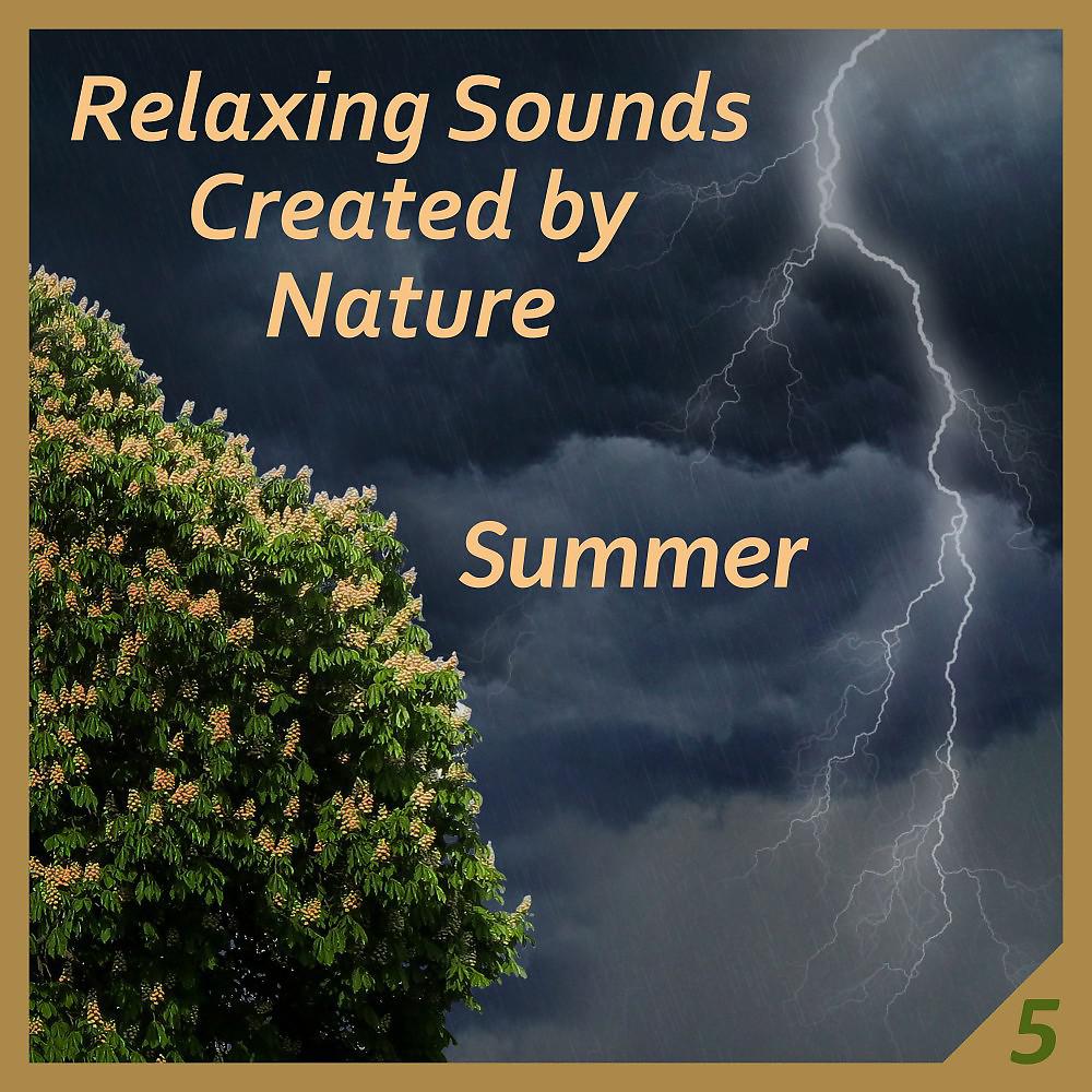 Постер альбома Relaxing Sounds Created by Nature 5 - Summer