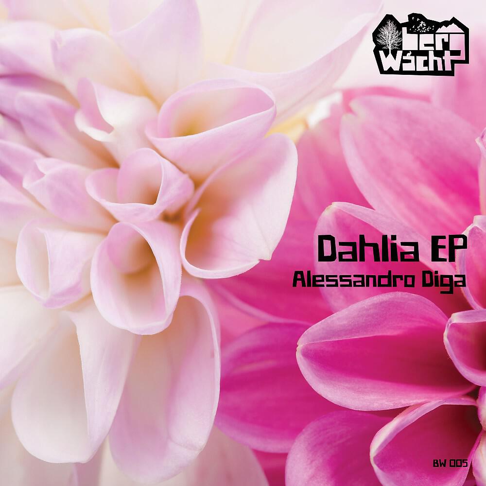 Alessandro Diga - Phaedra