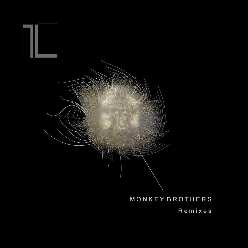 Постер альбома Monkey Brothers (Remixes)