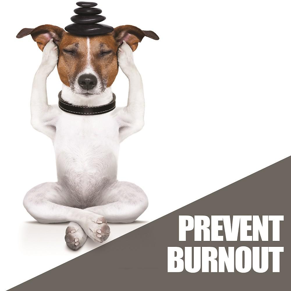 Постер альбома Prevent Burnout