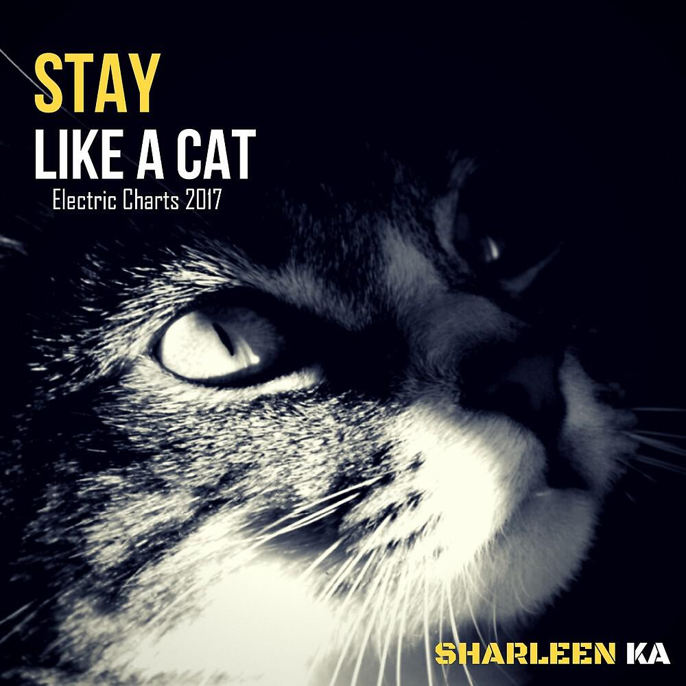 Sharleen Ka - Stay (Electro Reprise Zedd & Alessia Cara)