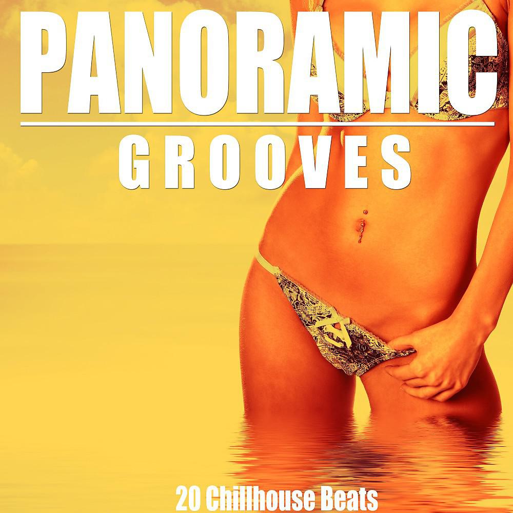 Постер альбома Panoramic Grooves (20 Chillhouse Beats)