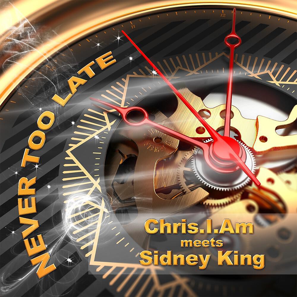 Chris.I.Am Meets Sidney King - Never Too Late (Kenny Laakkinen Nu Disco Remix)