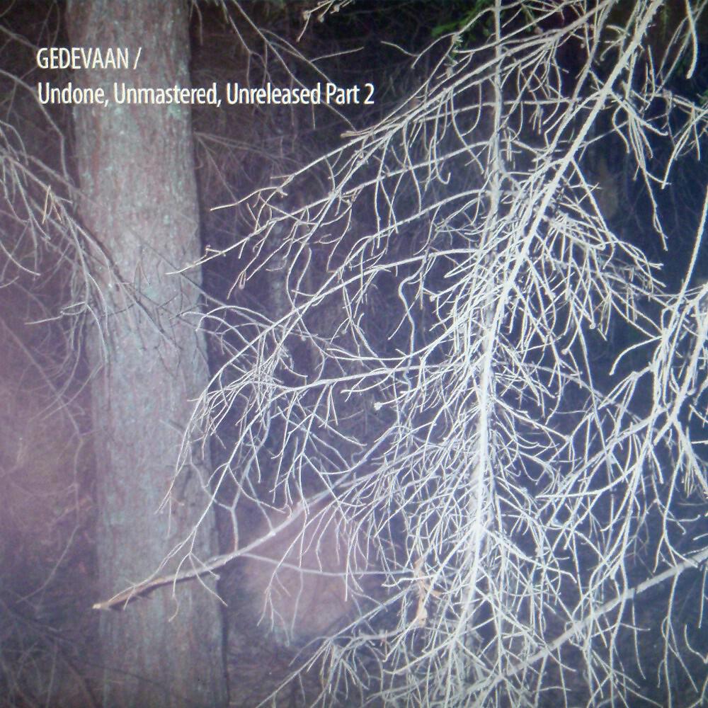 Gedevaan - I Am Just a Toybox