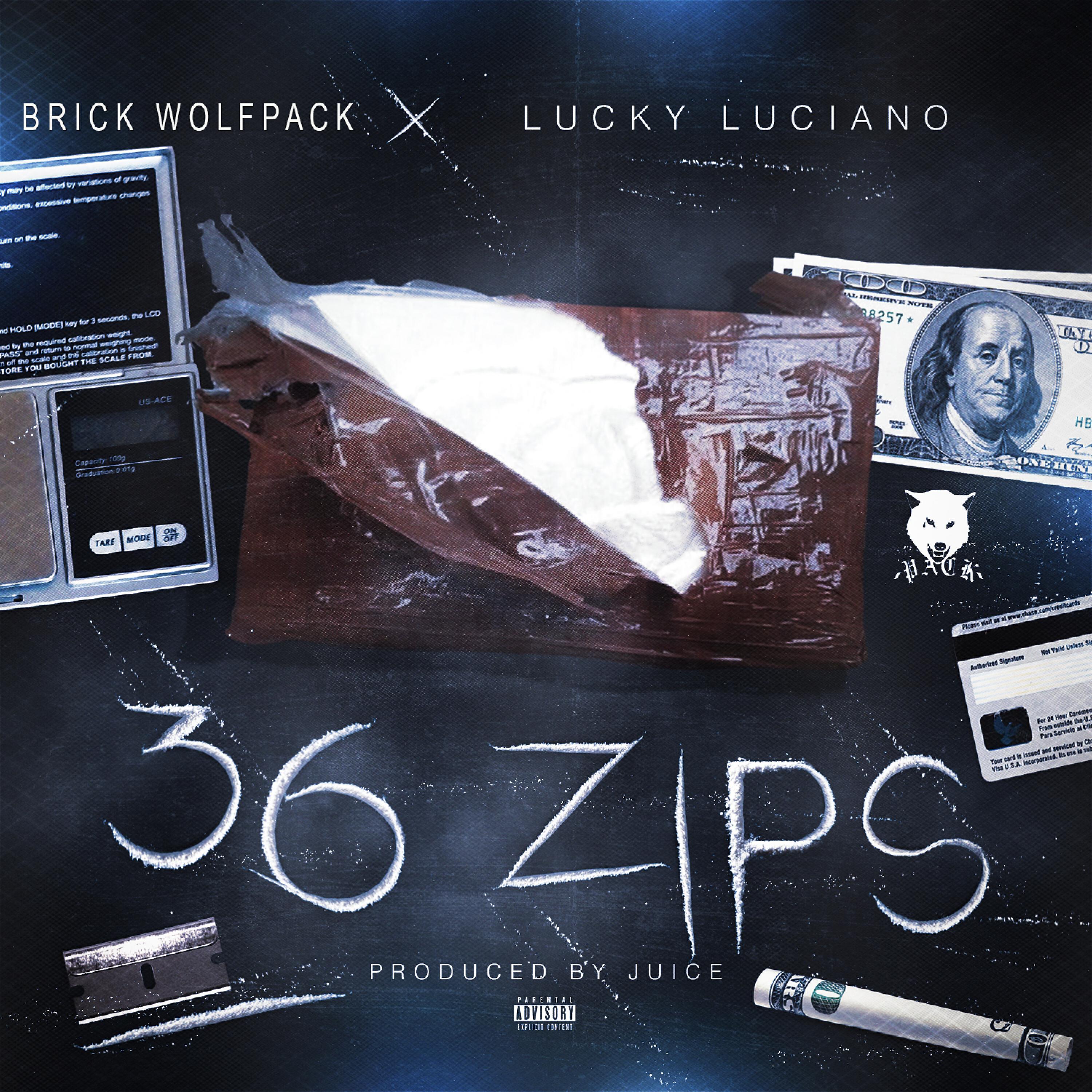 Brick Wolfpack - 36 Zips