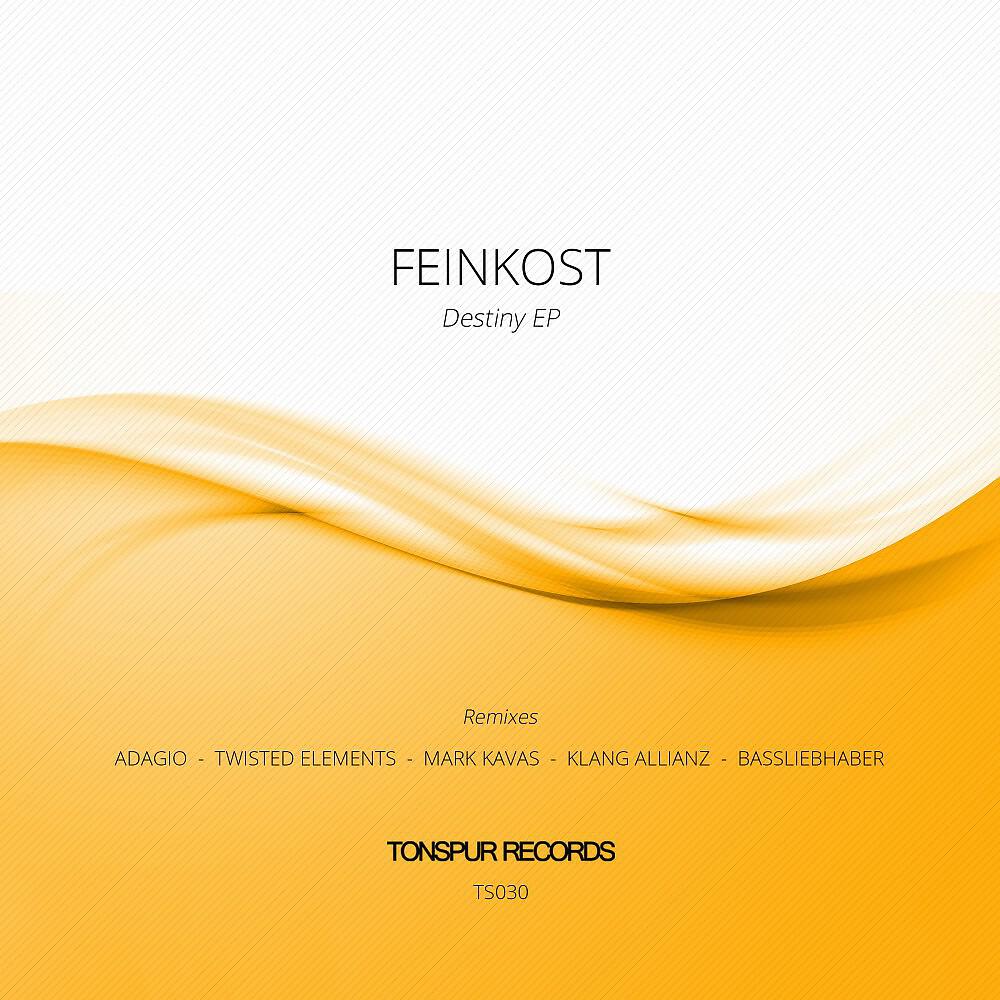 Feinkost - Destiny (Twisted Elements Remix)