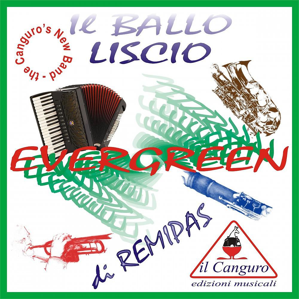 Постер альбома Il ballo liscio - Evergreen di Remipas