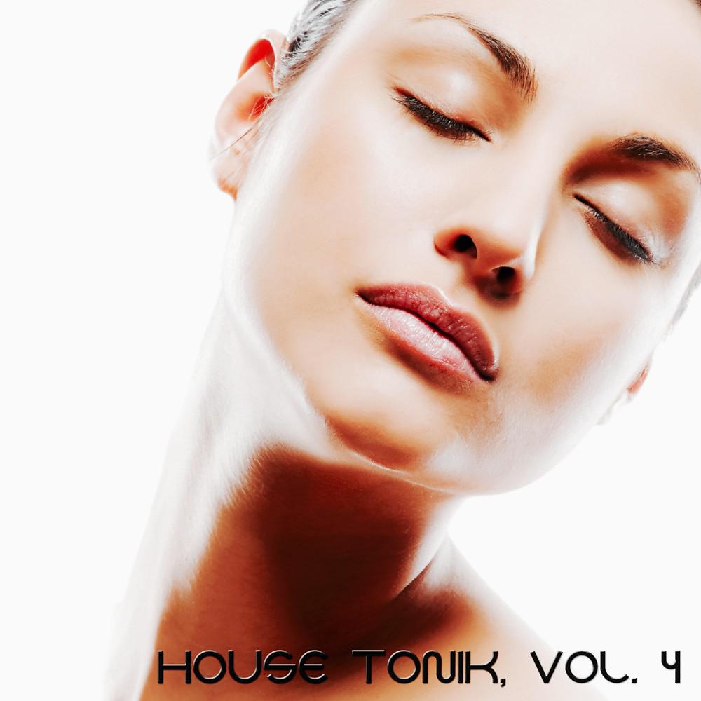 Постер альбома House Tonik, Vol. 4