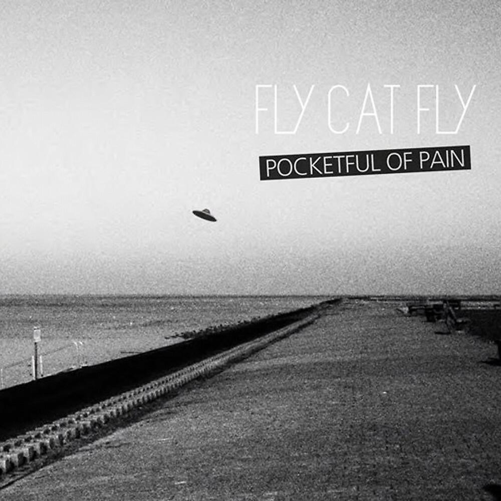 Fly Cat Fly - Friend