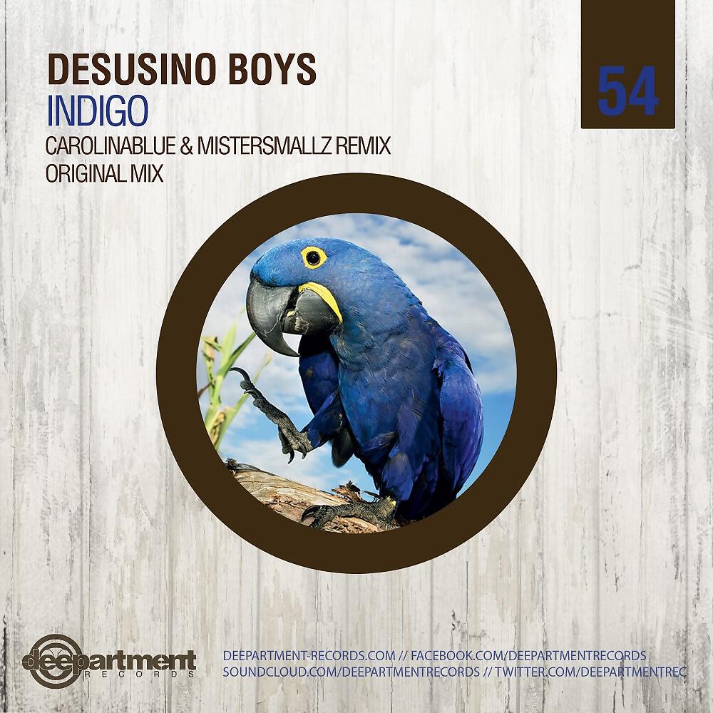 Desusino Boys - Indigo (Carolinablue & Mistersmallz Remix)