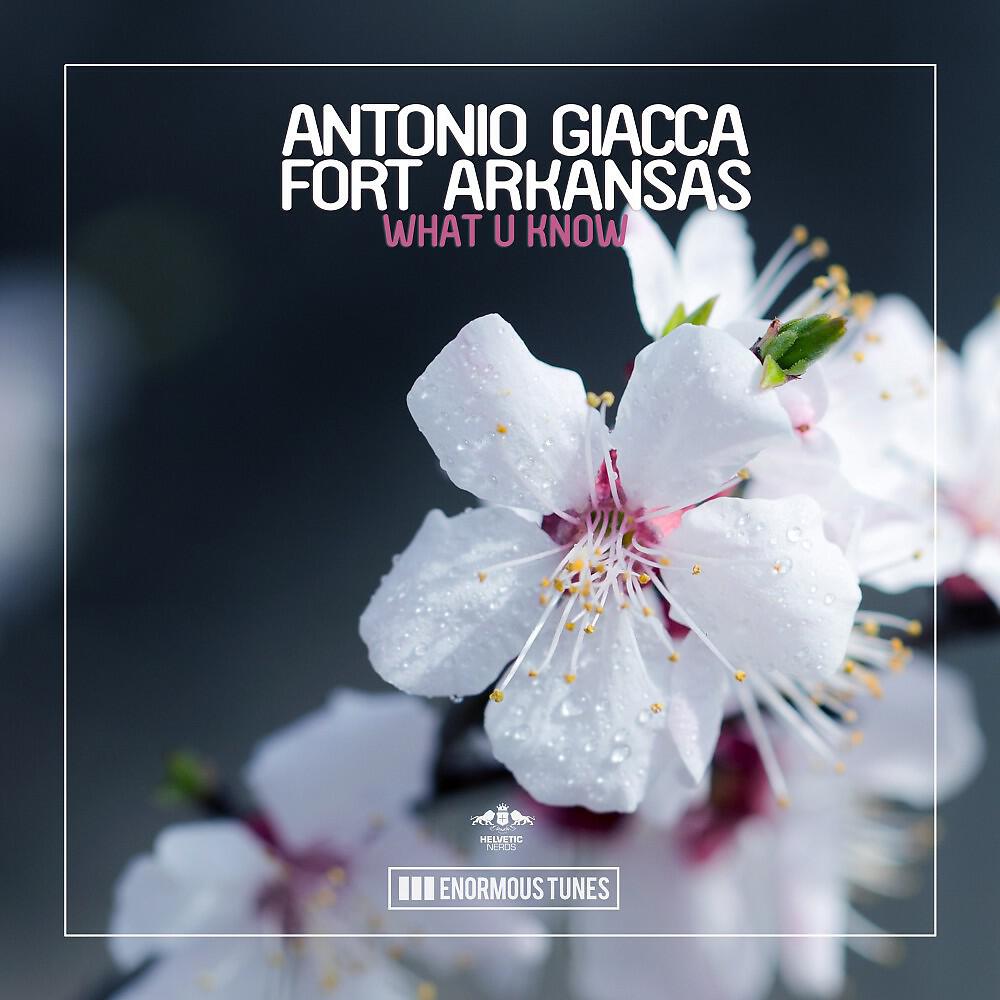 Antonio Giacca & Fort Arkansas - What U Know (Radio Mix)
