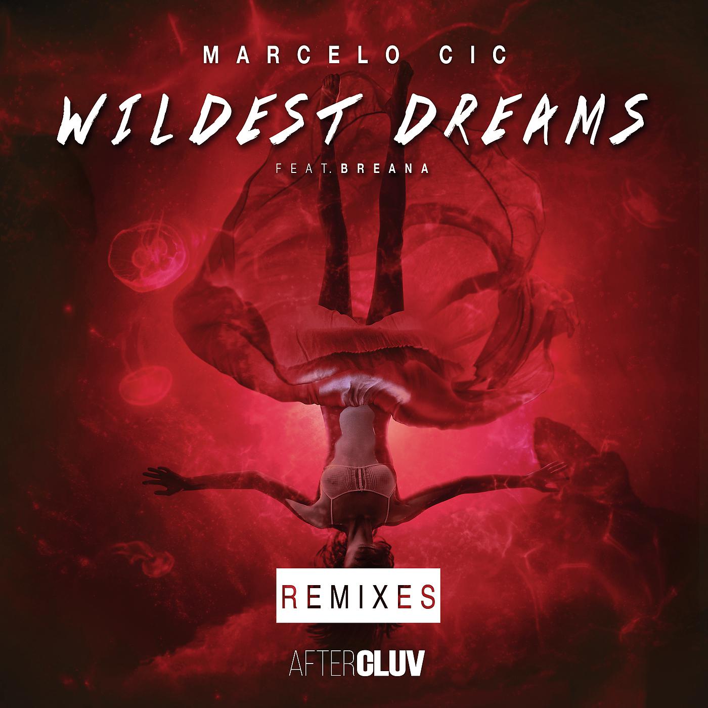 Постер альбома Wildest Dreams: The Remixes - EP