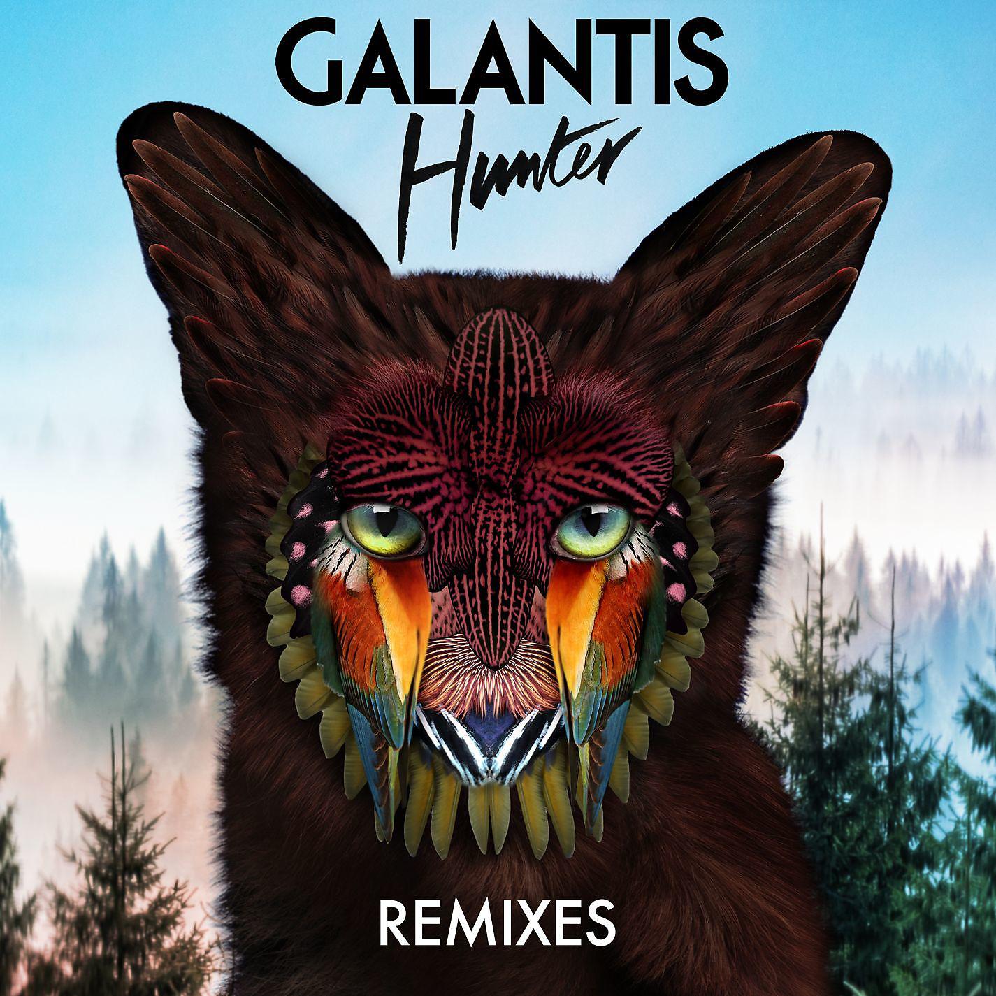 Постер альбома Hunter (Remixes)