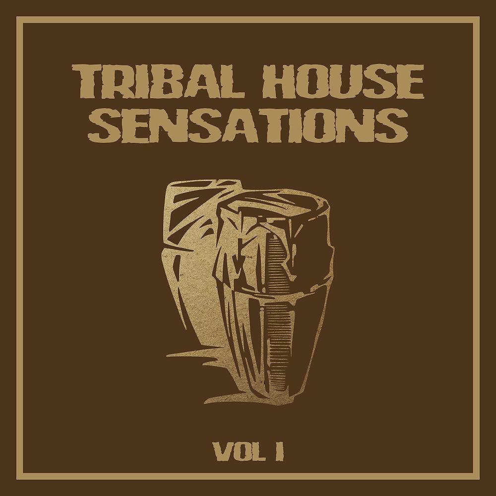 Постер альбома Tribal House Sensations, Vol. 1