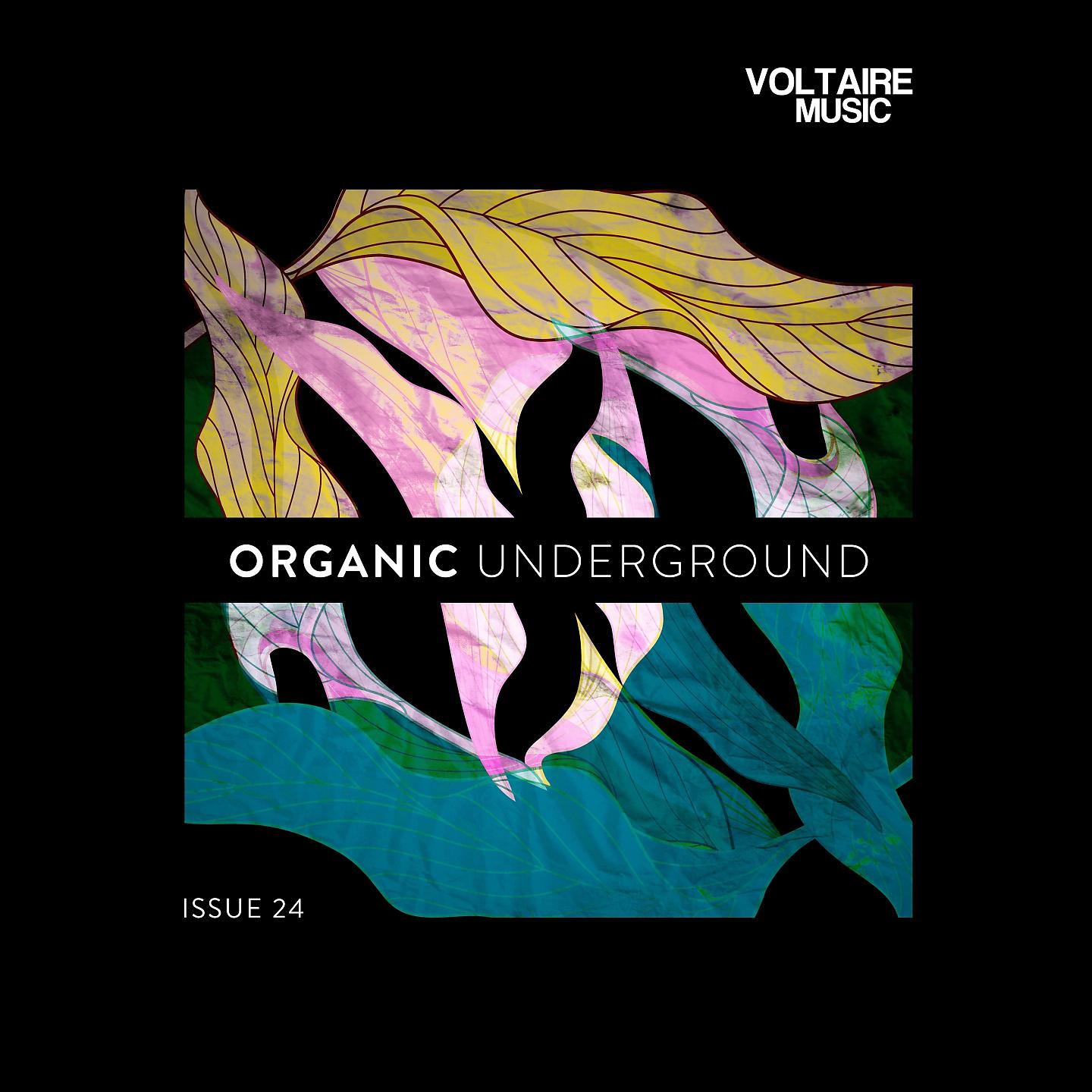 Постер альбома Organic Underground Issue 24