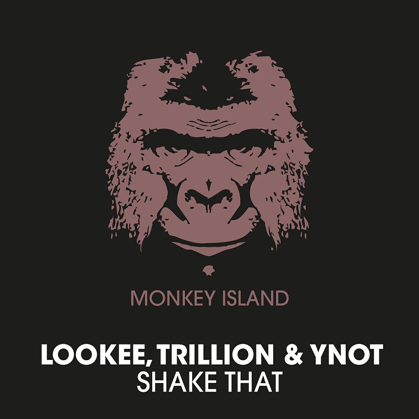 Lookee - Shake That