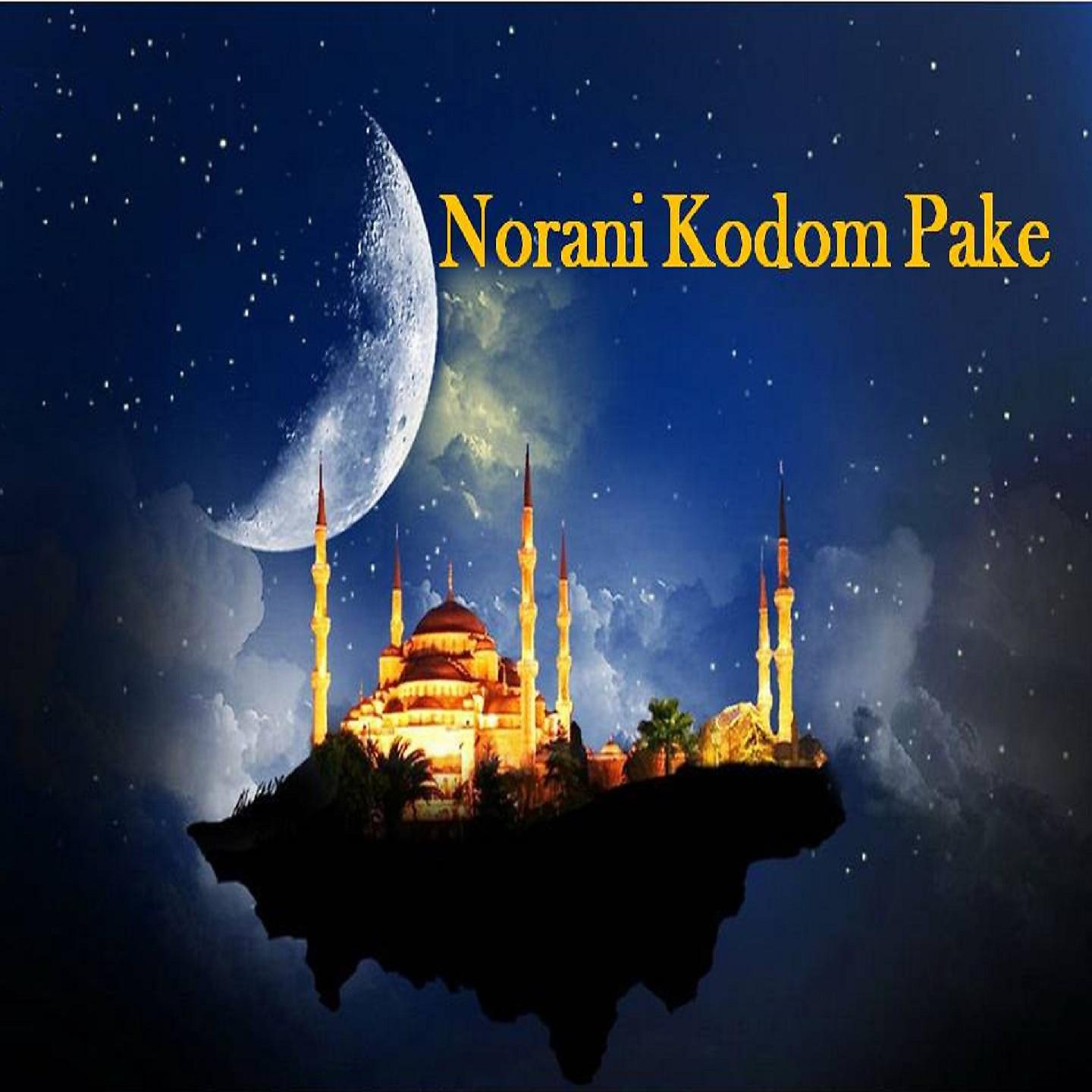 Постер альбома Norani Kodom Pake