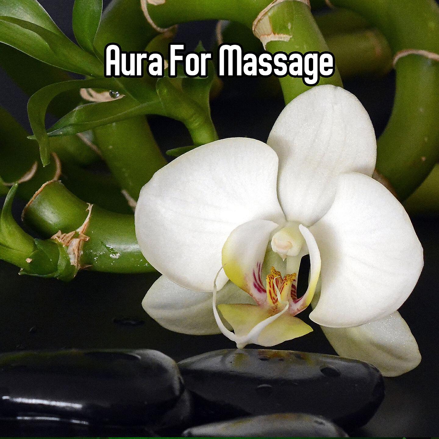 Massage - Icy Droplets Of Calm