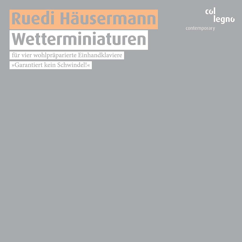 Постер альбома Wetterminiaturen