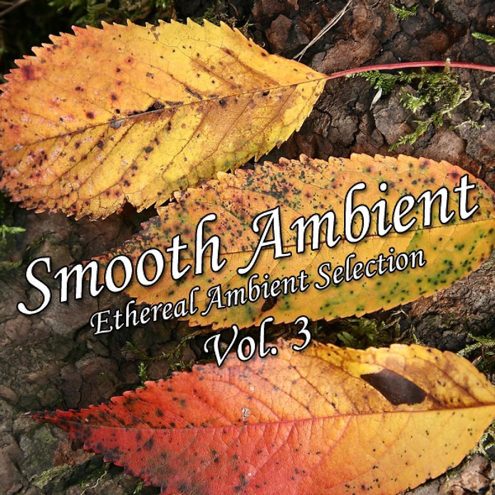 Постер альбома Smooth Ambient Vol. 3