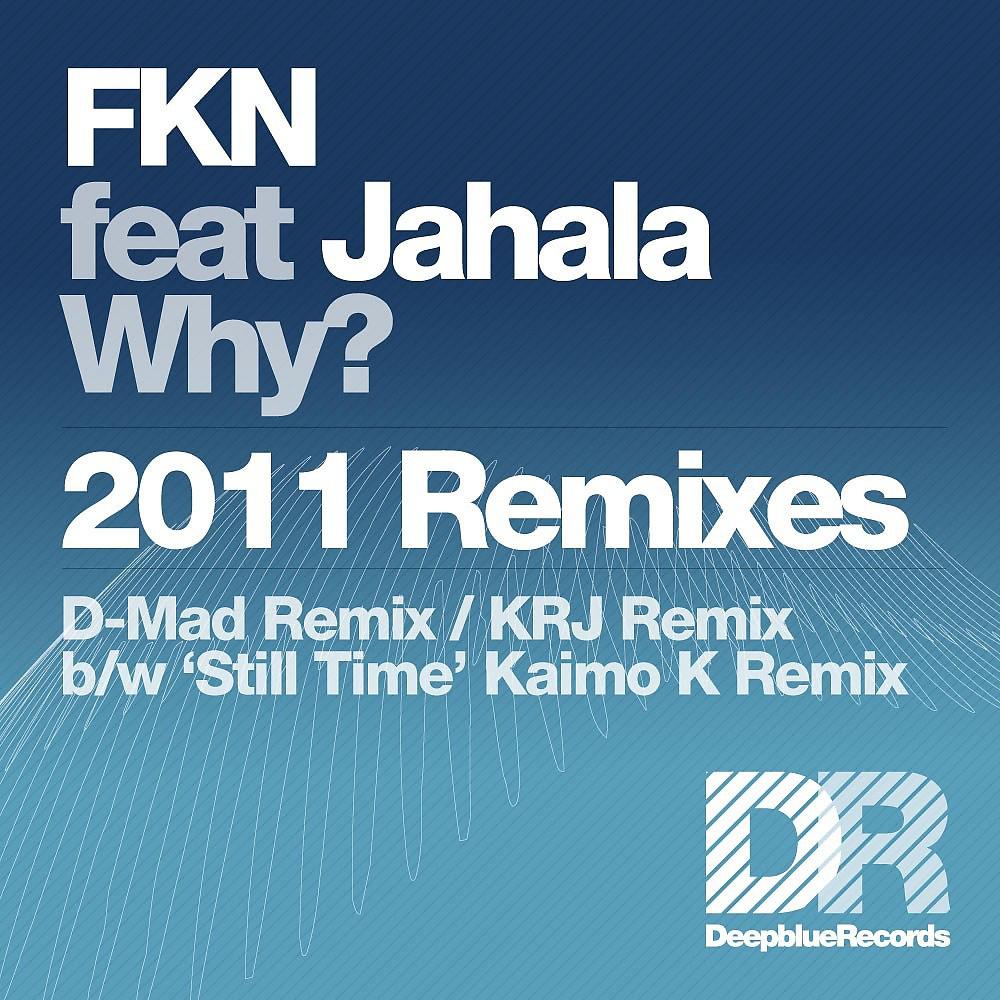 Постер альбома Why? - 2011 Remixes