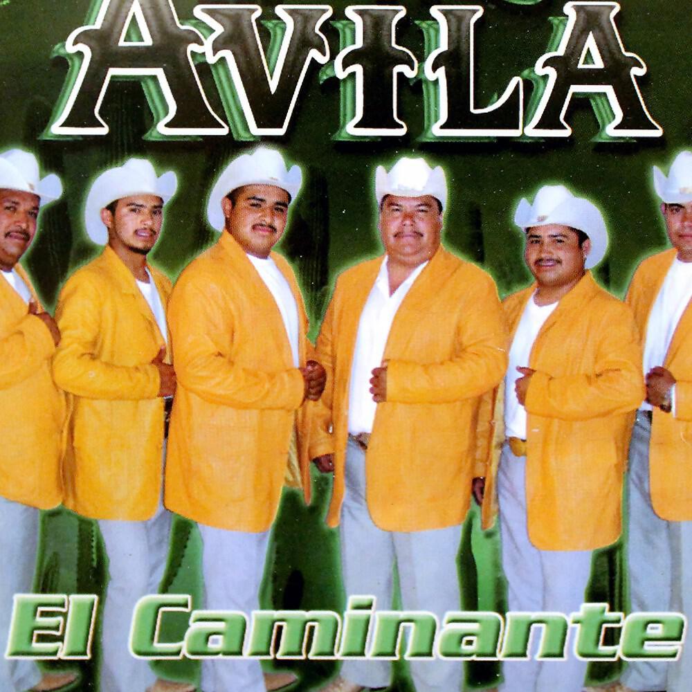 Avila - Medias Negras