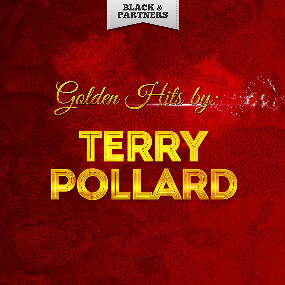 Постер альбома Golden Hits By Terry Pollard