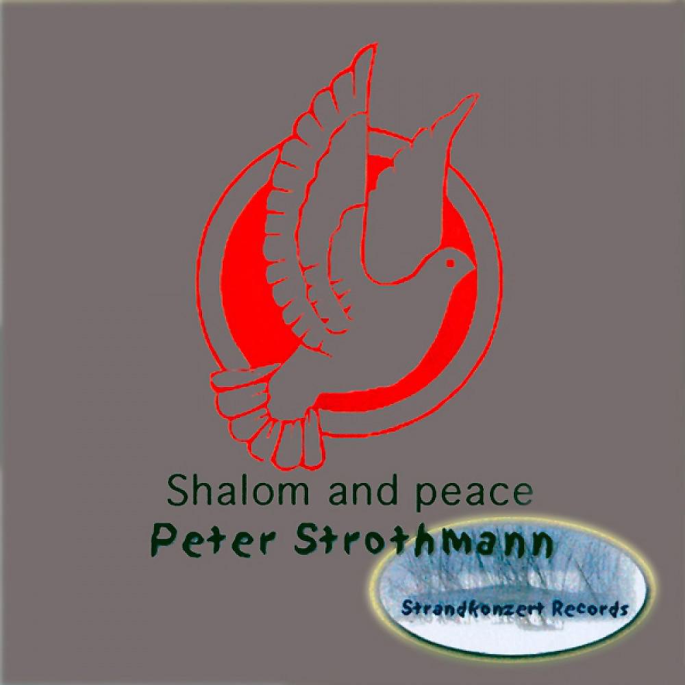 Постер альбома Shalom And Peace