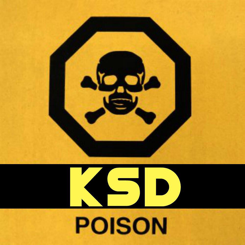 KSD - Kill the Sound (Original Mix)