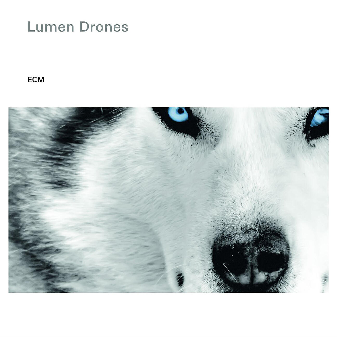Lumen Drones - Svartaskjær