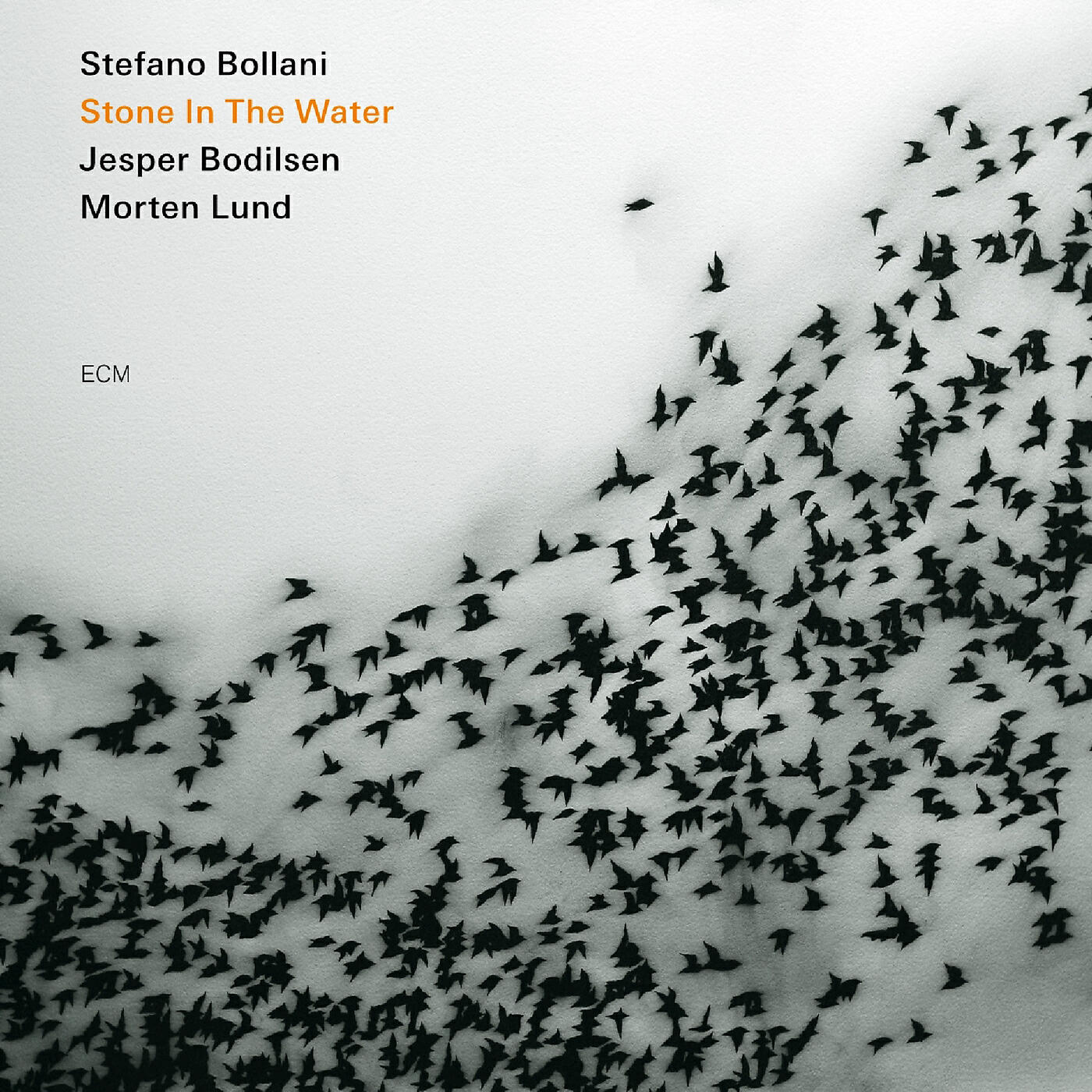 Stefano Bollani Trio - Il cervello del pavone