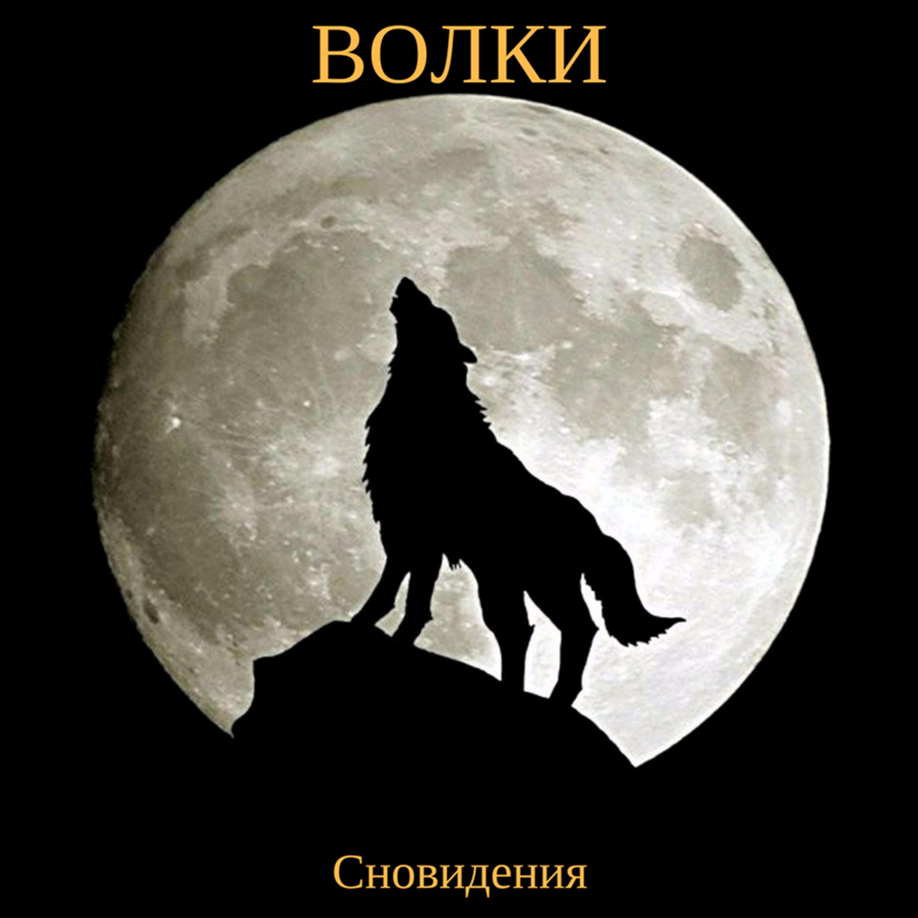 Одинокий волк