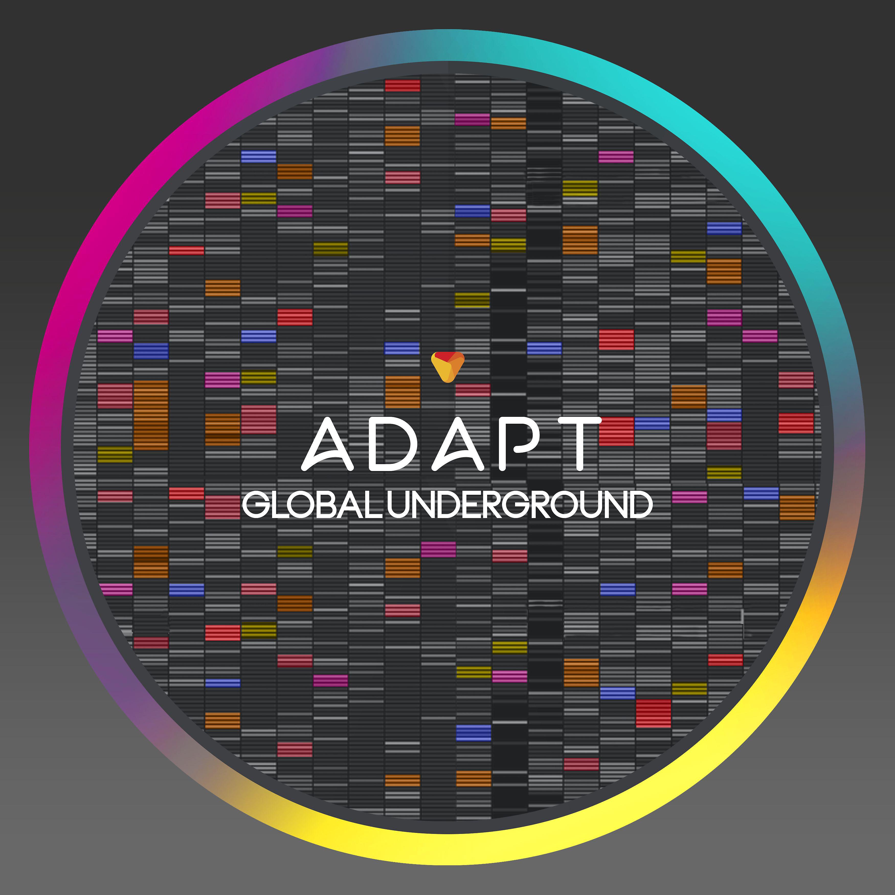 Постер альбома Global Underground: Adapt (Mixed)