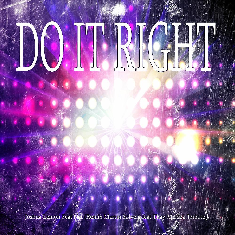 Постер альбома Do It Right (Remix Martin Solveig Feat Tkay Maidza Tribute)