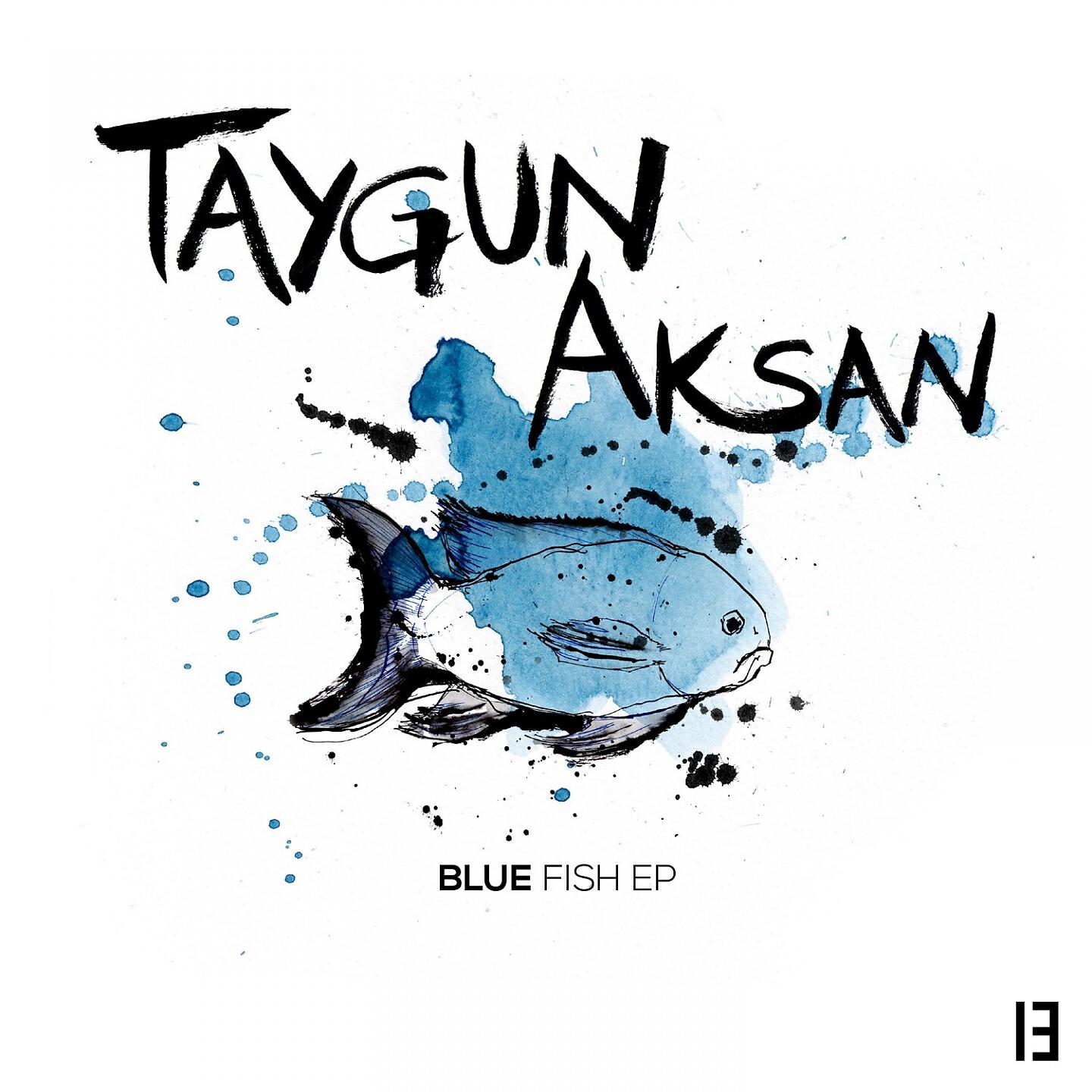 Taygun Aksan - Slow/Fast