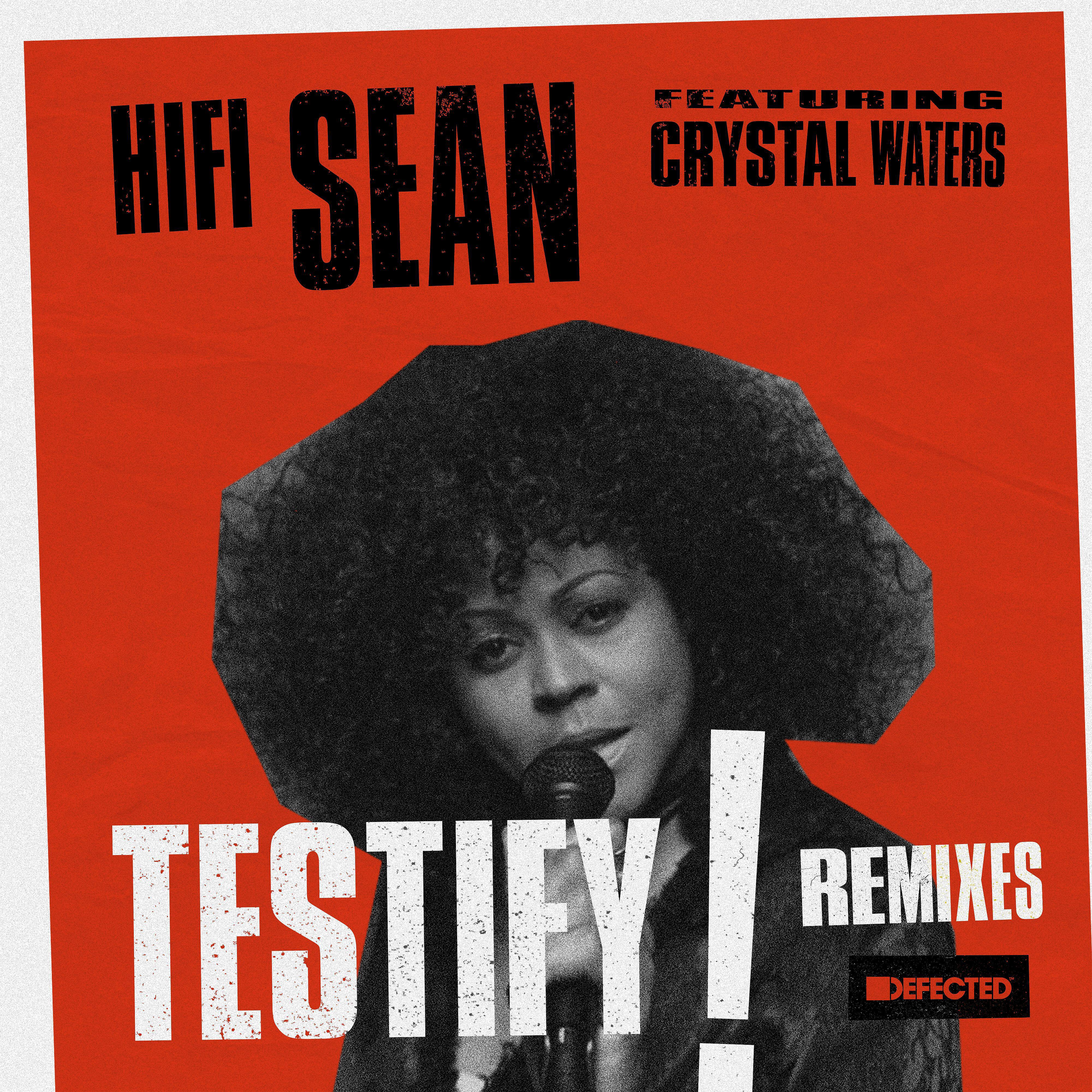 Hifi Sean - Testify (feat. Crystal Waters) [Sandy Rivera Dub]