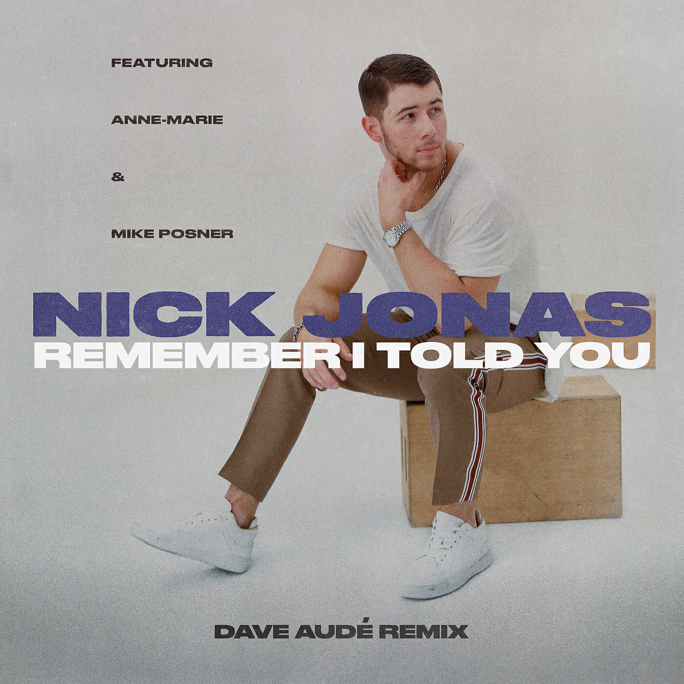 Nick Jonas - Remember I Told You (Dave Audé Remix)