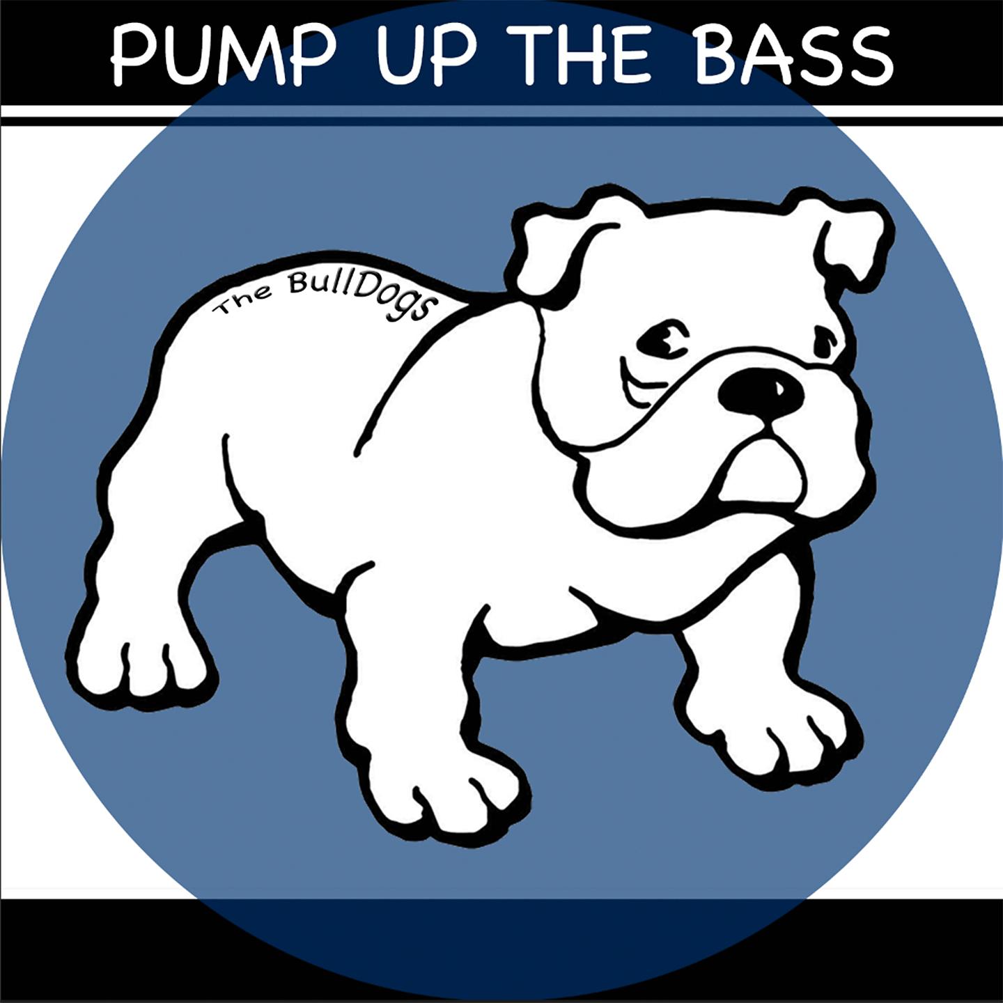Постер альбома Pump Up the Bass