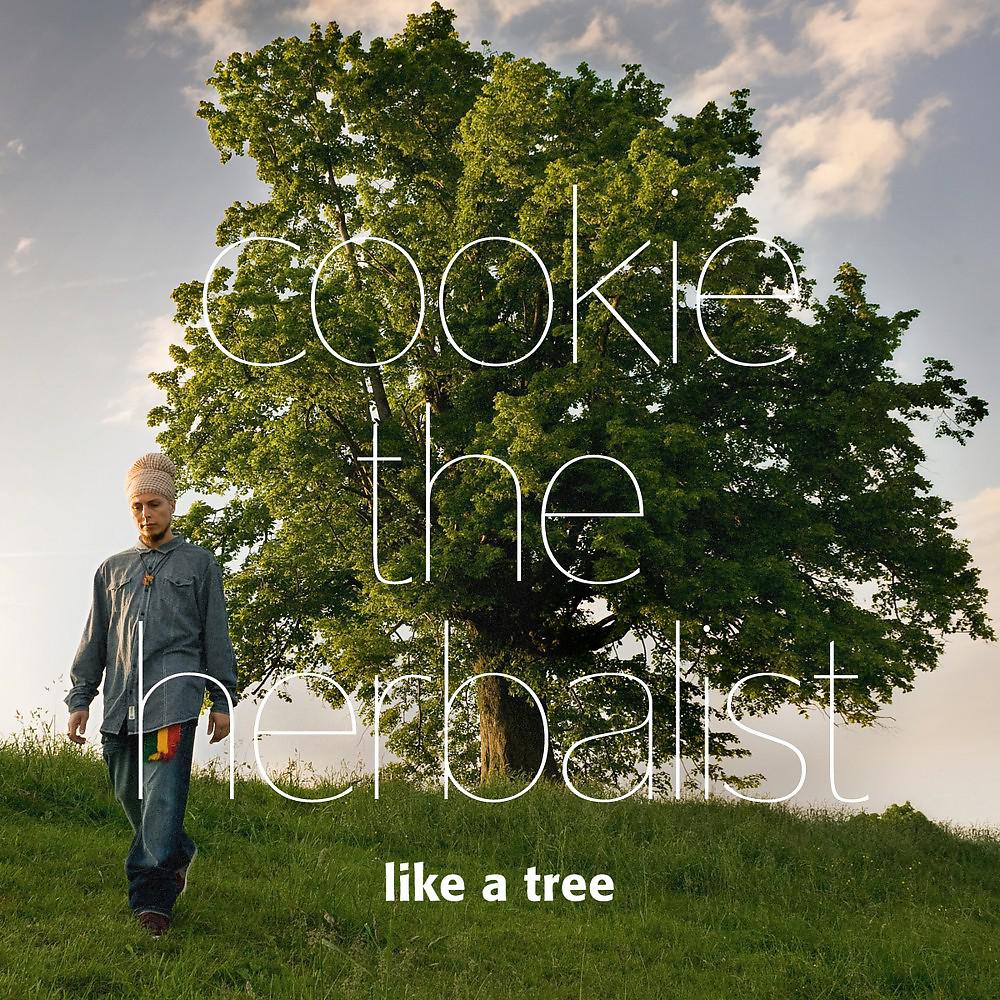 Постер альбома Like a Tree