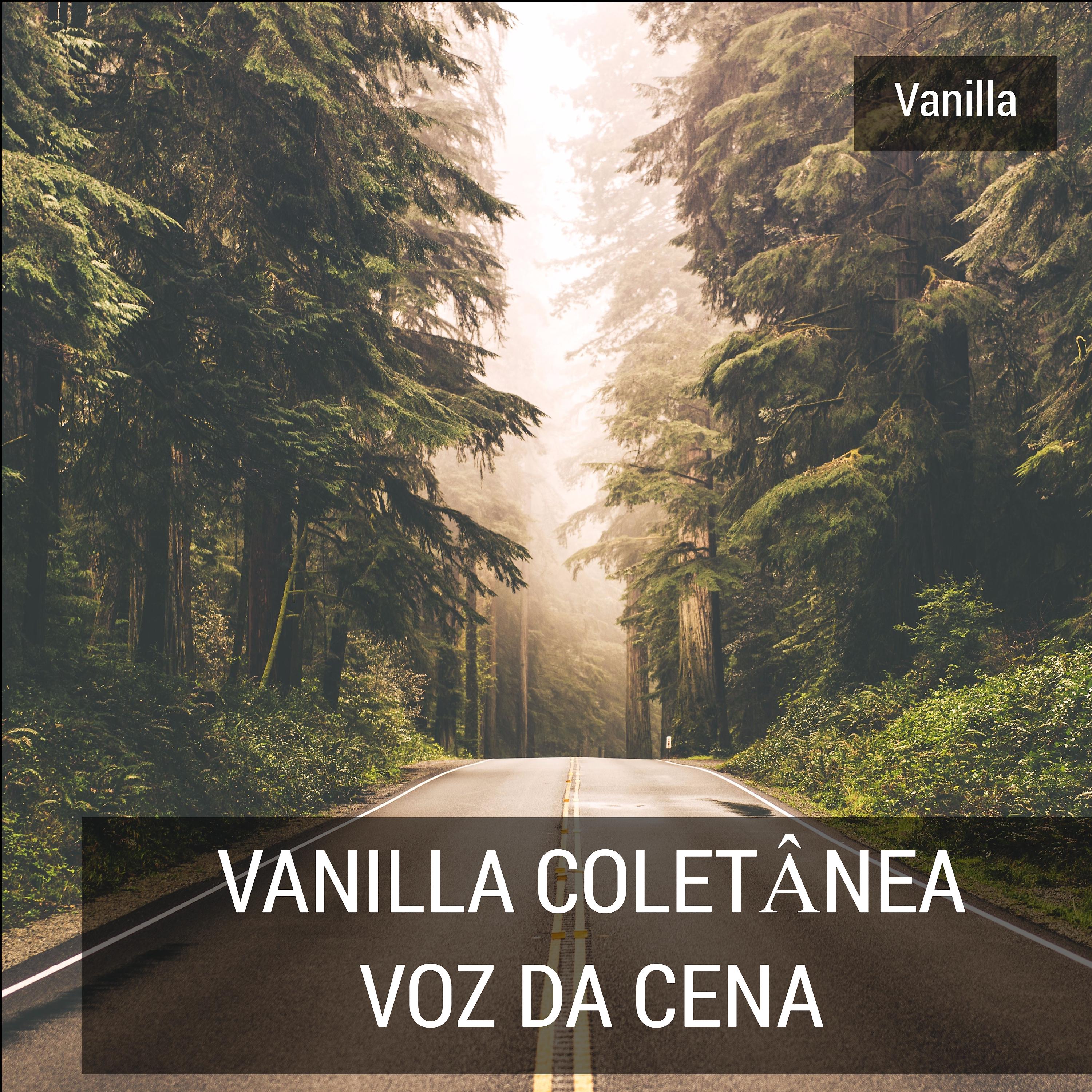 Постер альбома Vanilla Coletânea Voz Da Cena