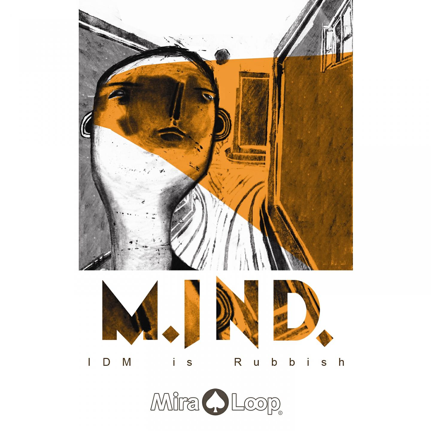 M.Ind. - Idm is Rubbish