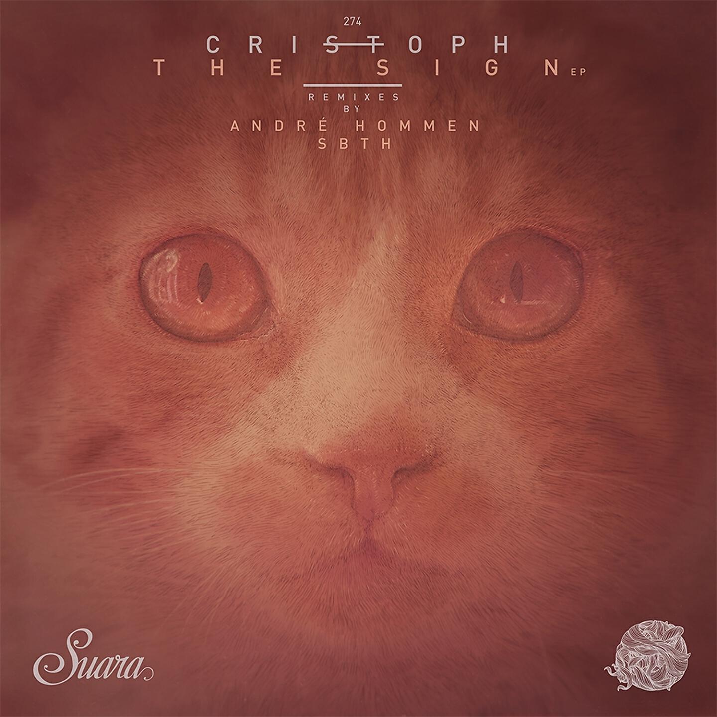 Cristoph - Lost Witness (Original Mix)