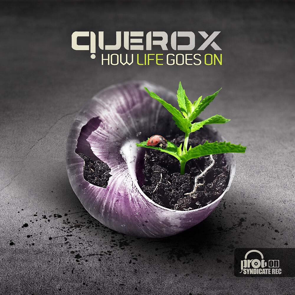 Phaxe - Fly Away (Querox Remix)